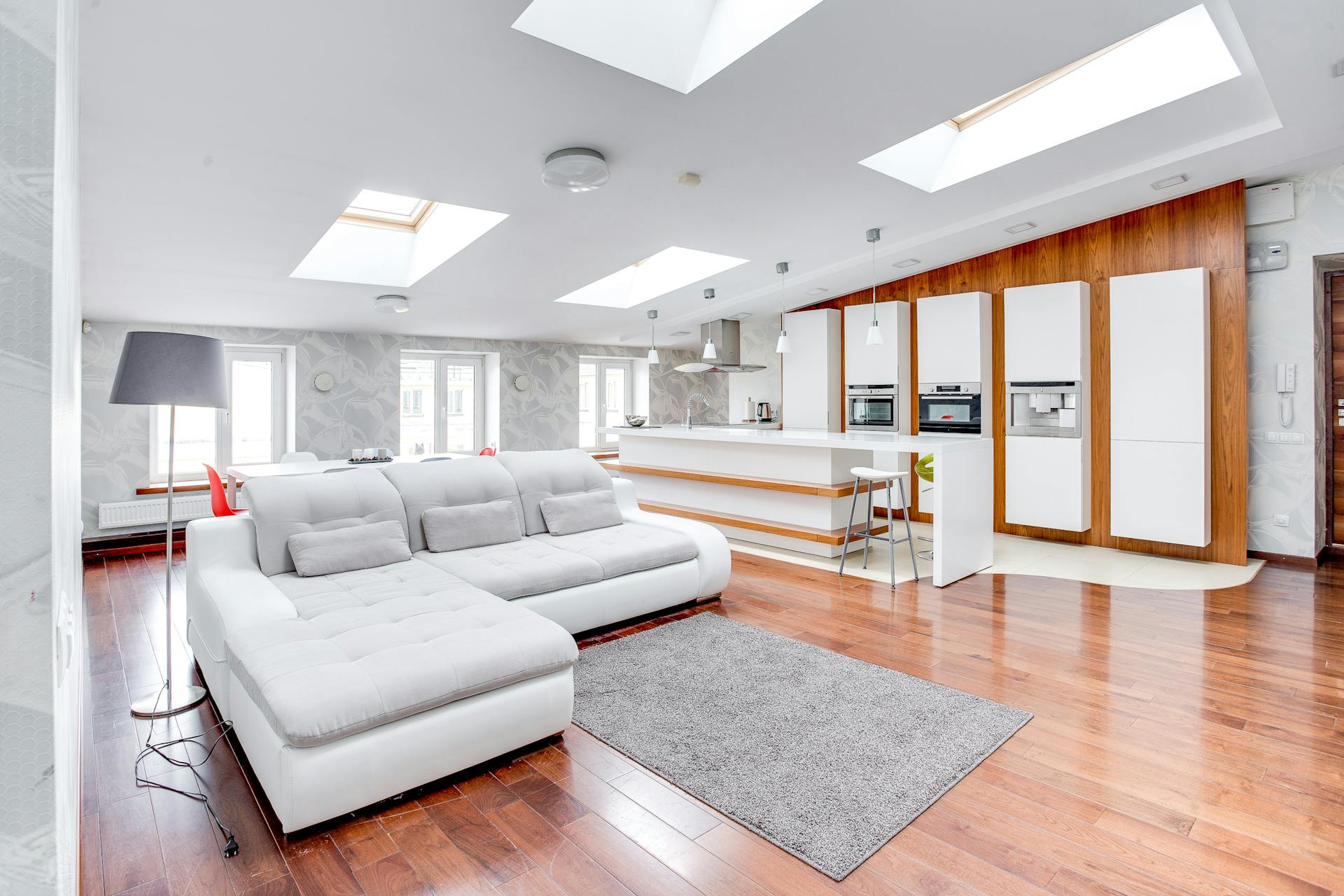 types of roof windows